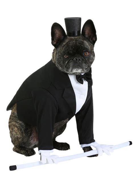 tuxedo halloween costume|tuxedo costume for small dog.